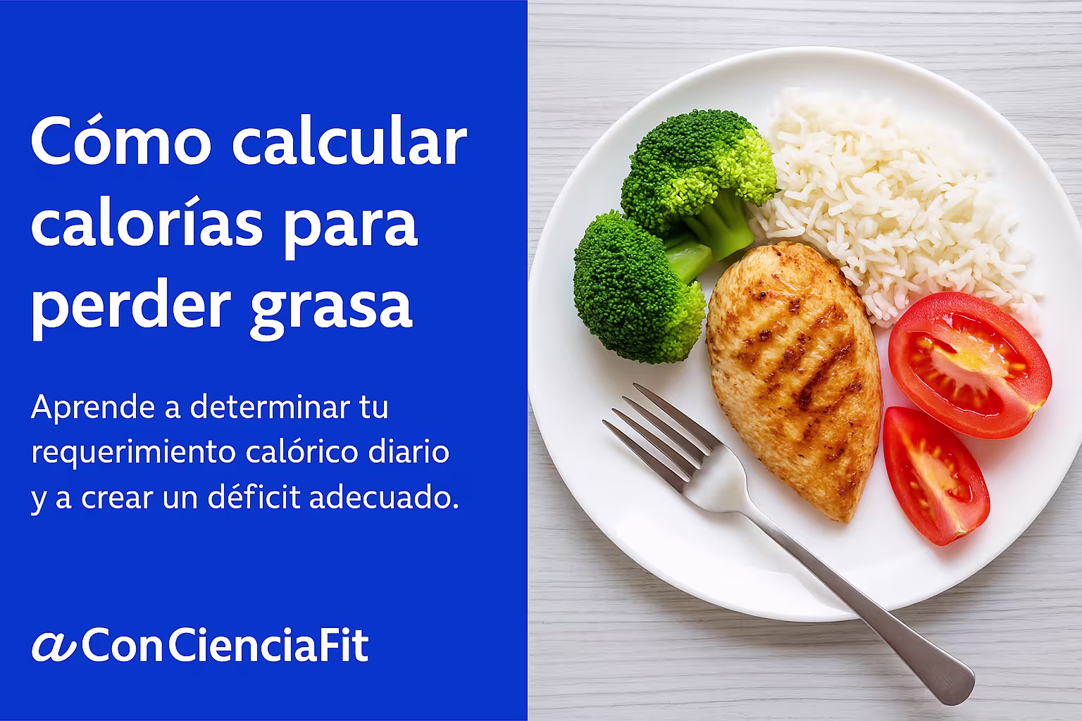 Ejemplo visual de cómo calcular calorías para perder grasa