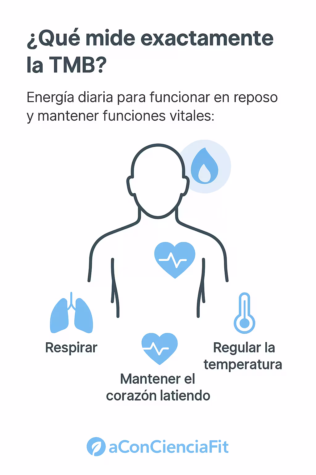 Ilustración de funciones vitales calculadas por la TMB